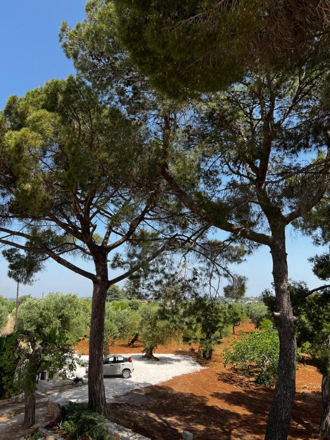 카스텔라나그로테 Masseria Concorrano 아파트 외부 사진